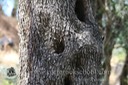 IMG_0145