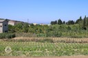 IMG_0189