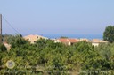 IMG_0190