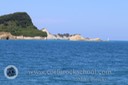 IMG_0502
