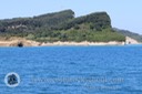 IMG_0504