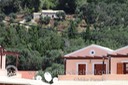 IMG_0528