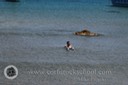 IMG_0545