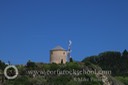 IMG_0550