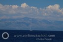 IMG_0554