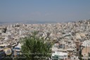 IMG_8390