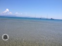 IMG_8454