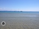 IMG_8455
