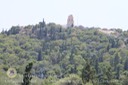IMG_8484