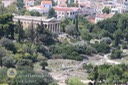 IMG_8488