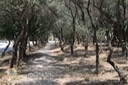 IMG_8503