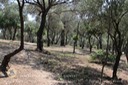 IMG_8505