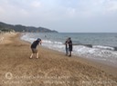 IMG_8786