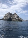 IMG_9034