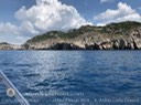 IMG_9043