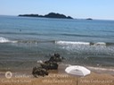 IMG_9331