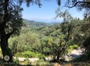 IMG_9606