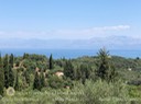 IMG_9610