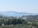 IMG_9620